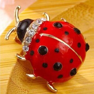 Ladybug Brooch pin Lady Bug polkadot polka dot vintage retro gift jewelry gems